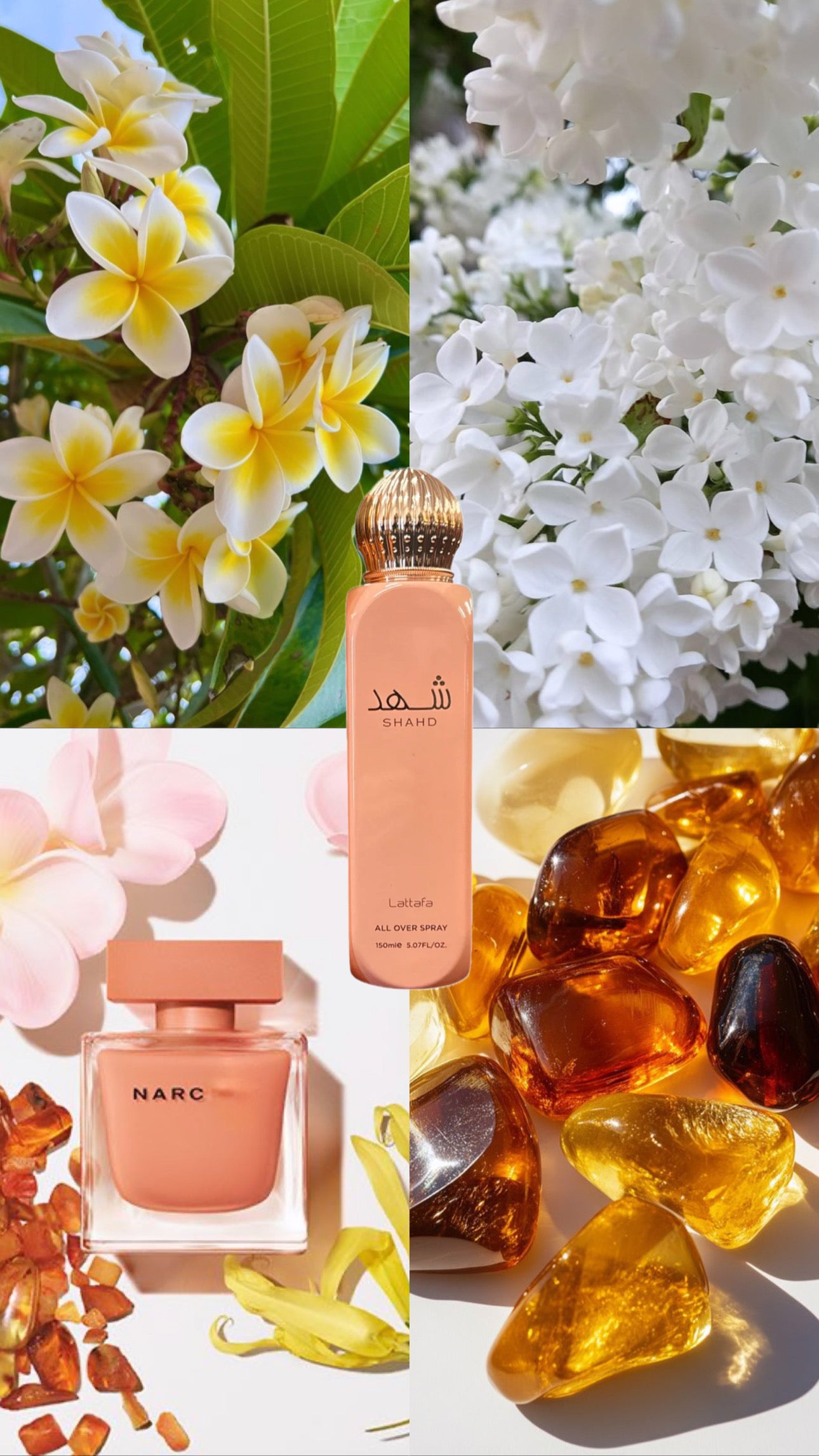 Lattafa / Asdaaf All Over spray │ 150ml │ 7 Duftrichtungen