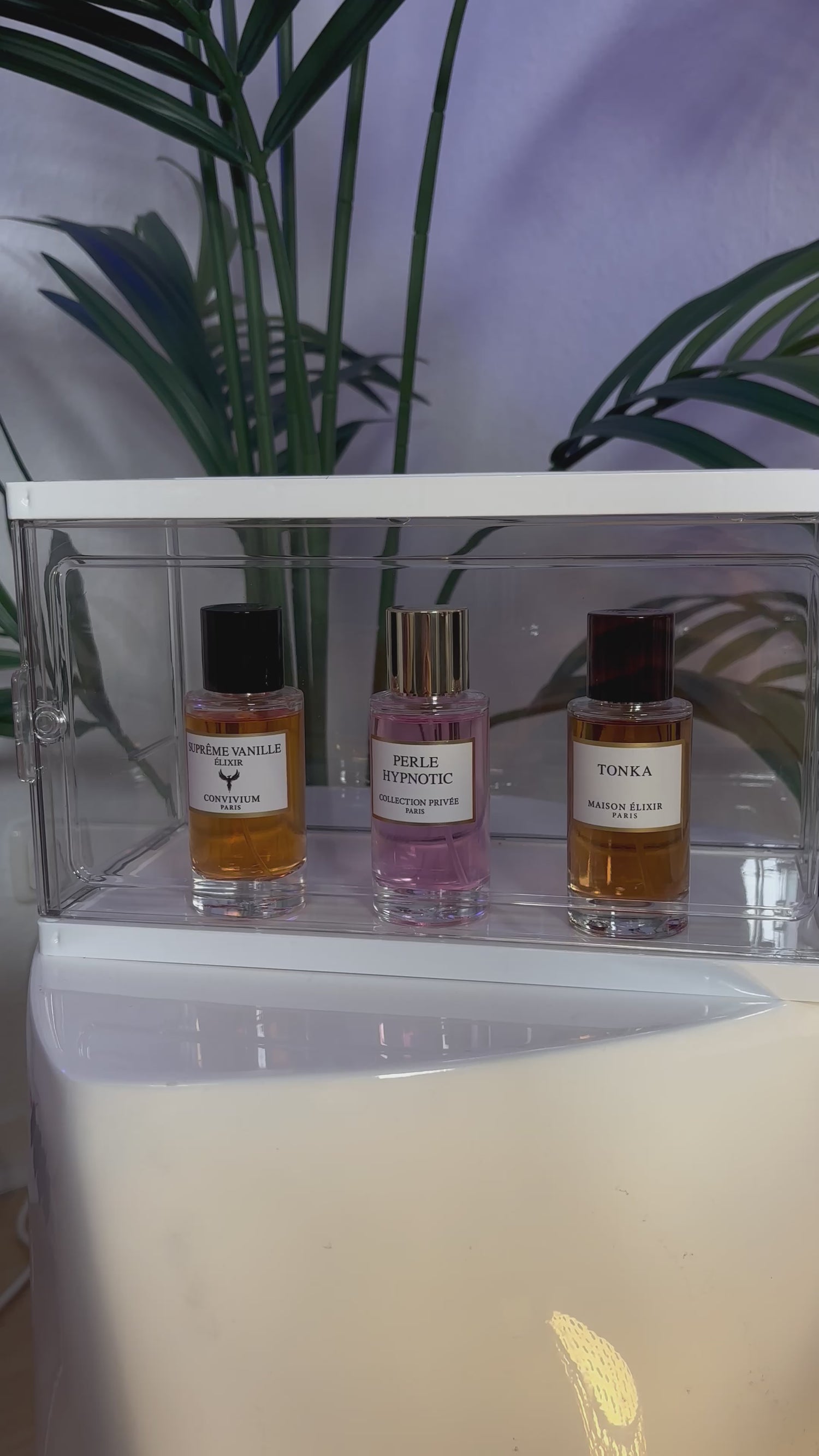 علبة عطر | صغير